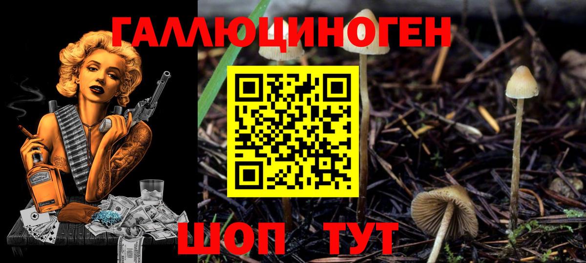 Псилоцибиновые грибы прущие грибы  Вход с VPN  Родники 