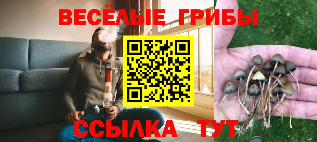 Галлюциногенные грибы Magic Shrooms Родники